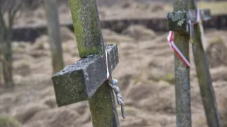 Pomnik (zdjęcie ilustracyjne). Fot. PAP/Vitaliy Hrabar