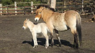 fot. fb.com/Warszawskie ZOO