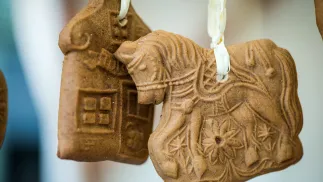 Fot. PAP/Tytus Żmijewski