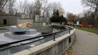 Warszawskie zoo, zdjęcie ilustracyjne, fot. PAP/Rafał Guz