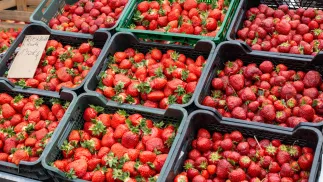 Truskawki. Fot. PAP/Małgorzata Sawoch