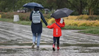 Deszczowa pogoda Fot. PAP/Szymon Pulcyn