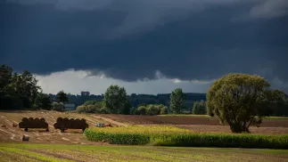  Rolnik zwozi bele słomy z pola przed nadchodzącą burzą Fot. PAP/Michał Zieliński