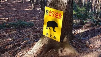 Tablica ostrzegawcza na wejściu do lasu, zdjęcie ilustracyjne, Fot. Guilhem Vellut/WikiMedia Commons/domena publiczna