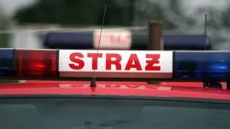 Kogut strażacki Fot. PAP/Piotr Polak