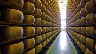 Ser Parmigiano Reggiano (zdjęcie ilustracyjne). Fot. EPA/ELISABETTA BARACCHI 