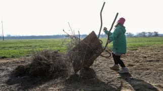 Dziecko na wsi - zdjęcie ilustracyjne Fot. PAP/Rafał Guz