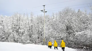 Linia energetyczna (zdjęcie ilustracyjne). Fot. PAP/Darek Delmanowicz