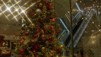 1 lutego weszła w życie nowela przewidująca ustanowienie 24 grudnia dniem wolnym dla wszystkich pracowników. Fot. Adobe Stock/Yuri