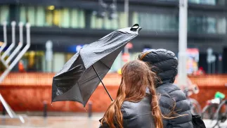 Silny wiatr. Fot. Adobe Stock/FotoDax