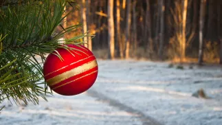 W Wigilię niewielkich opadów śniegu można spodziewać się w rejonach górskich. Fot. Adobe Stock/Mariusz Stoszewski