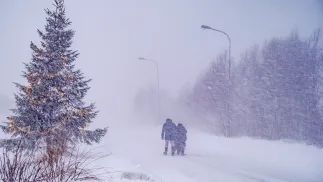 Sztorm w Szwecji Fot. PAP/EPA/SAM HEDMAN