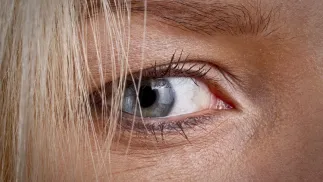 Oko Fot. PAP/Wojciech Pacewicz