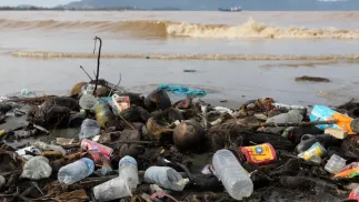 Zanieczyszczenie na plaży nad oceanem w Indonezji Fot. PAP/EPA/HOTLI SIMANJUNTAK