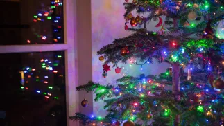 Fot. PAP/Andrzej Lange