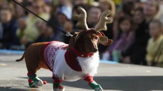 Ilustracyjne Fot. PAP/EPA/ANATOLY MALTSEV