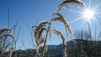 Ciepła zima, zdjęcie ilustracyjne, fot. PAP/EPA/Zima. Fot. PAP/Darek Delmanowicz