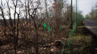 Антидронні сітки вздовж доріг неподалік лінії зіткнення в Донецькій області. Fot. PAP/EPA/Maria Senovilla