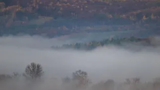 Mgła. Fot. PAP/Darek Delmanowicz