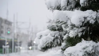 Śnieg. Zdjęcie ilustracyjne. Fot. PAP/Jakub Kaczmarczyk