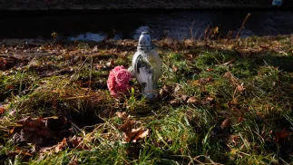 Znicz i kwiaty w okolicy miejsca znalezienia ciała 11-letniej dziewczynki w Jeleniej Górze, fot. PAP/Krzysztof Ćwik