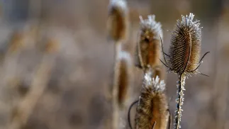 Pogoda. Fot. PAP/Darek Delmanowicz