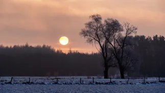 Zima w Polsce. Fot. Adobe Stock/podlaski49