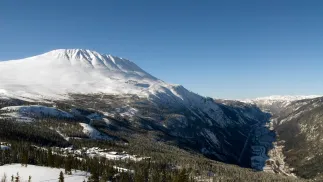 Zdjcie ilustracyjne Fot. Adobe Stock/Jone Gundersen