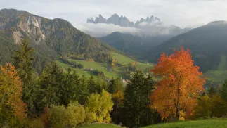 Val di Funes. Fot. Wikipedia Commons/Wolfgang Moroder
