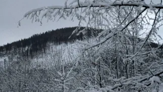 Zdj. ilustracyjne. Fot. PAP/Jacek Bednarczyk