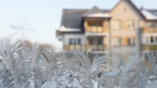 Mróz na szybie Fot. PAP/Artur Reszko