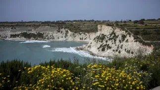 Wybrzeże na Malcie - zdjęcie ilustracyjne Fot. PAP/Wiktor Dąbkowski