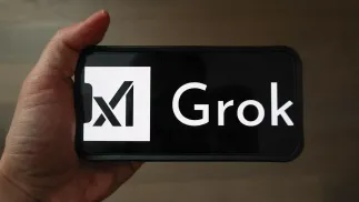 Grok (zdjęcie ilustracyjne). Fot. PAP/Albert Zawada