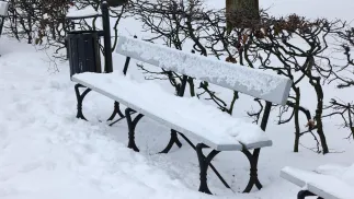 Niskie temperatury. Fot. PAP/ Albert Zawada