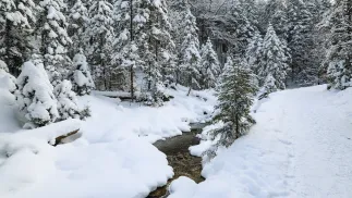 Zima w Tatrach. Fot. PAP/Grzegorz Momot