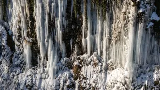 PAP/Darek Delmanowicz