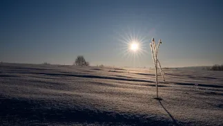 Zimowa aura. Fot. PAP/Darek Delmanowicz