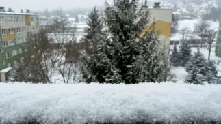 Opady świeżego śniegu. Fot. PAP/Darek Delmanowicz