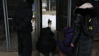  Akcja zabierania psów ze schroniska dla zwierząt "Happy Dog" w miejscowości Sobolew Fot. PAP/Paweł Supernak