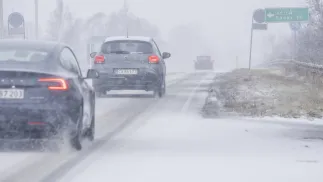 Atak zimy w Danii. Fot. PAP/EPA/INGRID RIIS