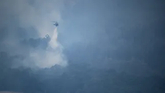 Fala rekordowych upałów w Australii, wysokie ryzyko pożarów. Fot. PAP/EPA/MICHAEL CURRIE