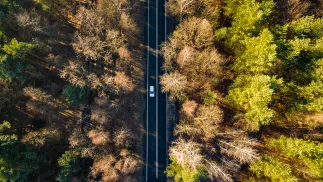 Według danych Instytutu Badań Rynku Motoryzacyjnego SAMAR w grudniu 2025 r. zarejestrowano w Polsce 9821 nowych chińskich samochodów. Fot. Adobe Stock/BlackMediaHouse