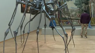 Wystawa "Metamorfozy" w Rijksmuseum w Amsterdamie. Fot. PAP/AFP (screen)