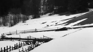 Kotlina Podhalańska - zdjęcie ilustracyjne Fot. PAP/Afa Pixx/Zenon Żyburtowicz