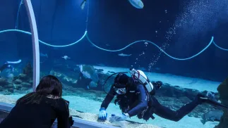 Orientarium ZOO Łódź. Fot. PAP/Marian Zubrzycki