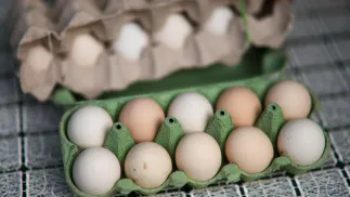 Jajka Fot. PAP/Leszek Szymański