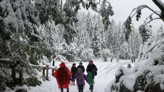  Turyści na trasie do Morskiego Oka w Tatrach. Fot.  PAP/Grzegorz Momot