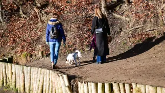 Spacer w słońcu Fot. PAP/Marcin Bielecki