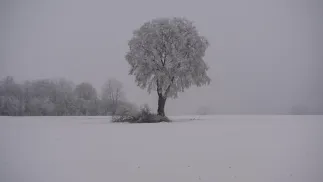 Trudne warunki pogodowe. Fot. PAP/Wojtek Jargiło