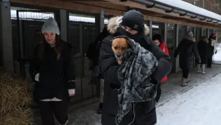 Akcja zabierania psów ze schroniska dla zwierząt "Happy Dog" w miejscowości Sobolew. Fot. PAP/Paweł Supernak